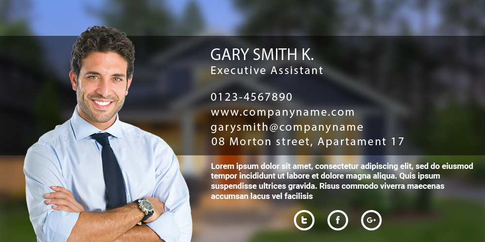 Real Estate Agent