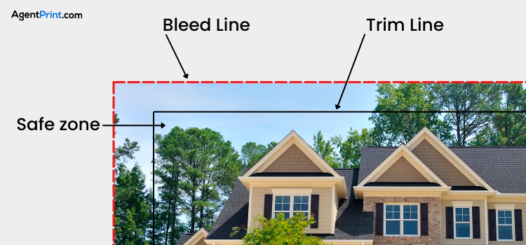 Ignoring Bleed and Safe Zones  