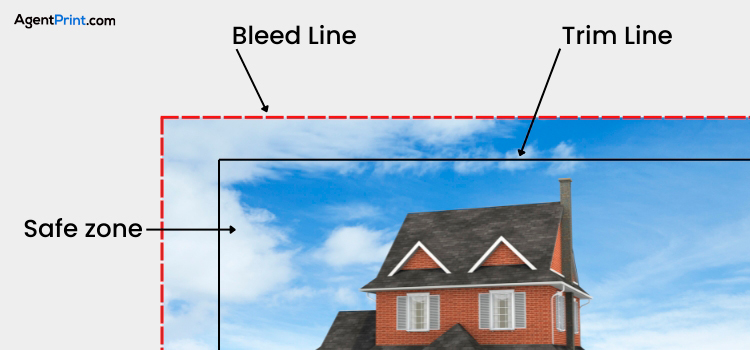 Bleed and Safe Zones 