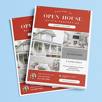 Just Listed/Just Sold Flyer