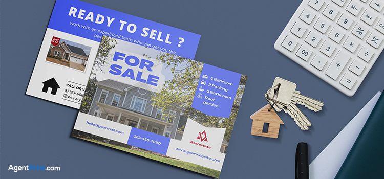 High-Quality Photography in Printed Materials